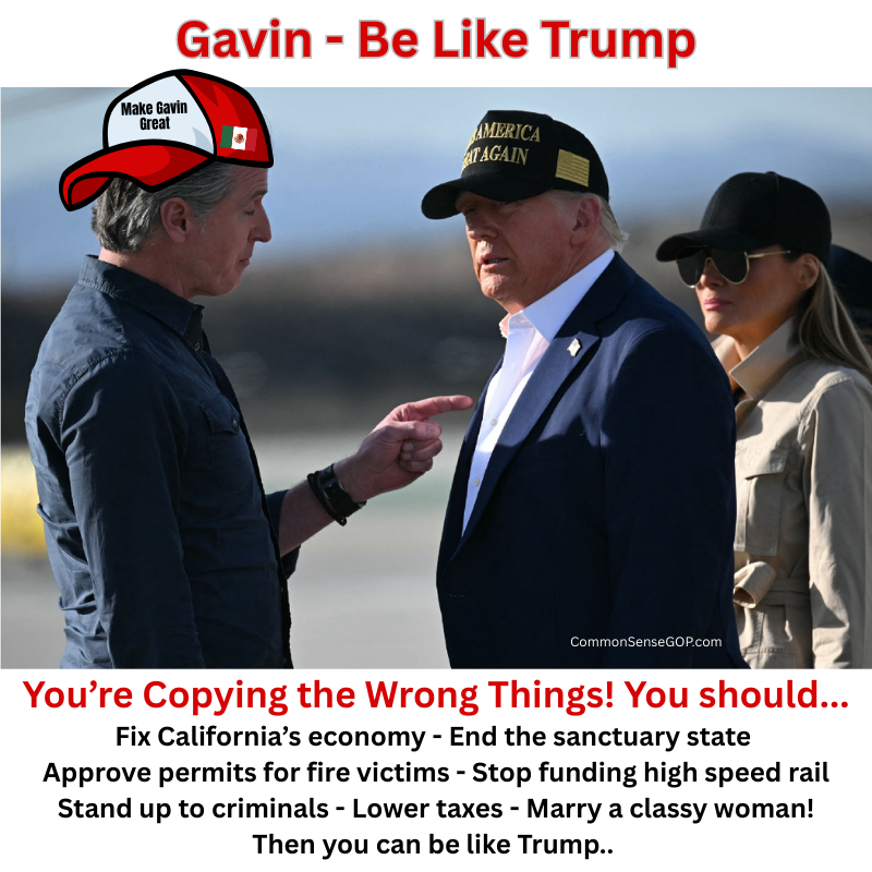 Gavin Be Like Trump