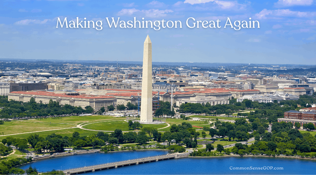 Making Washington D.C. Great Again