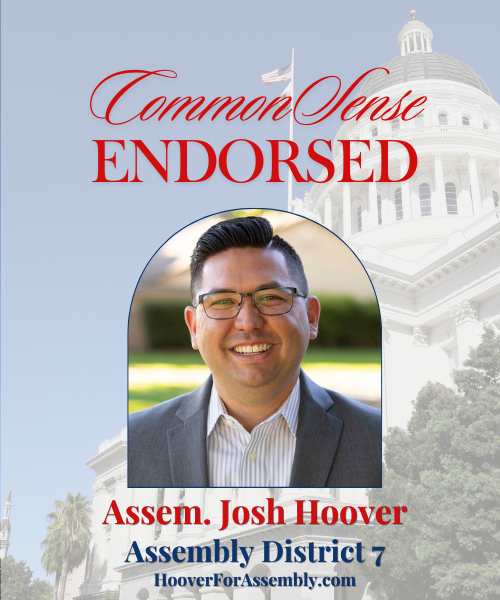 Primary Endorsement Josh Hoover AD7